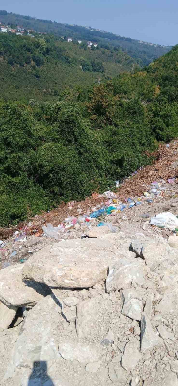 Alaplı’da yol kenarına bırakılan çöpler çevre kirliliğine yol açıyor
