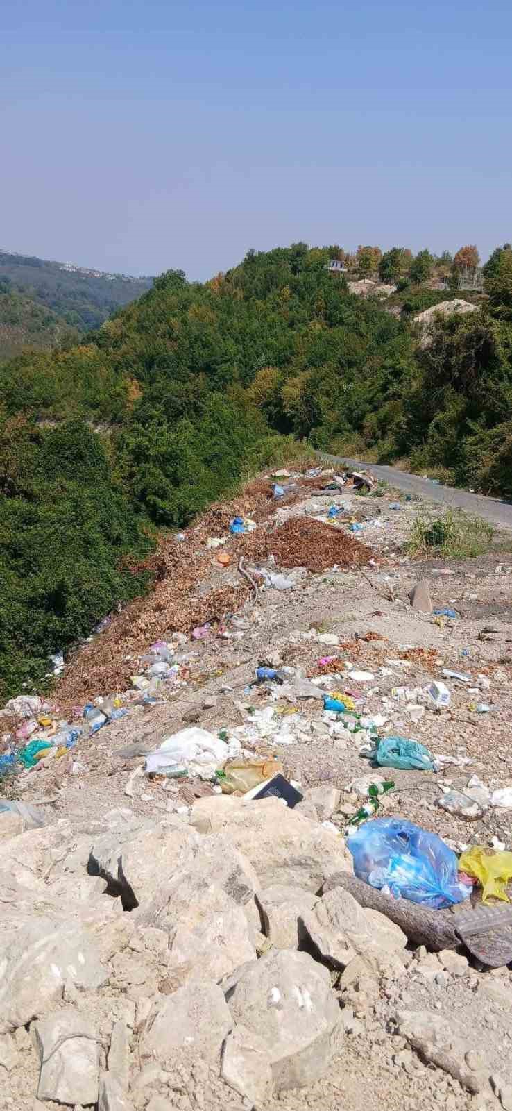 Alaplı&rsquo;da yol kenarına bırakılan &ccedil;&ouml;pler &ccedil;evre kirliliğine yol a&ccedil;ıyor
