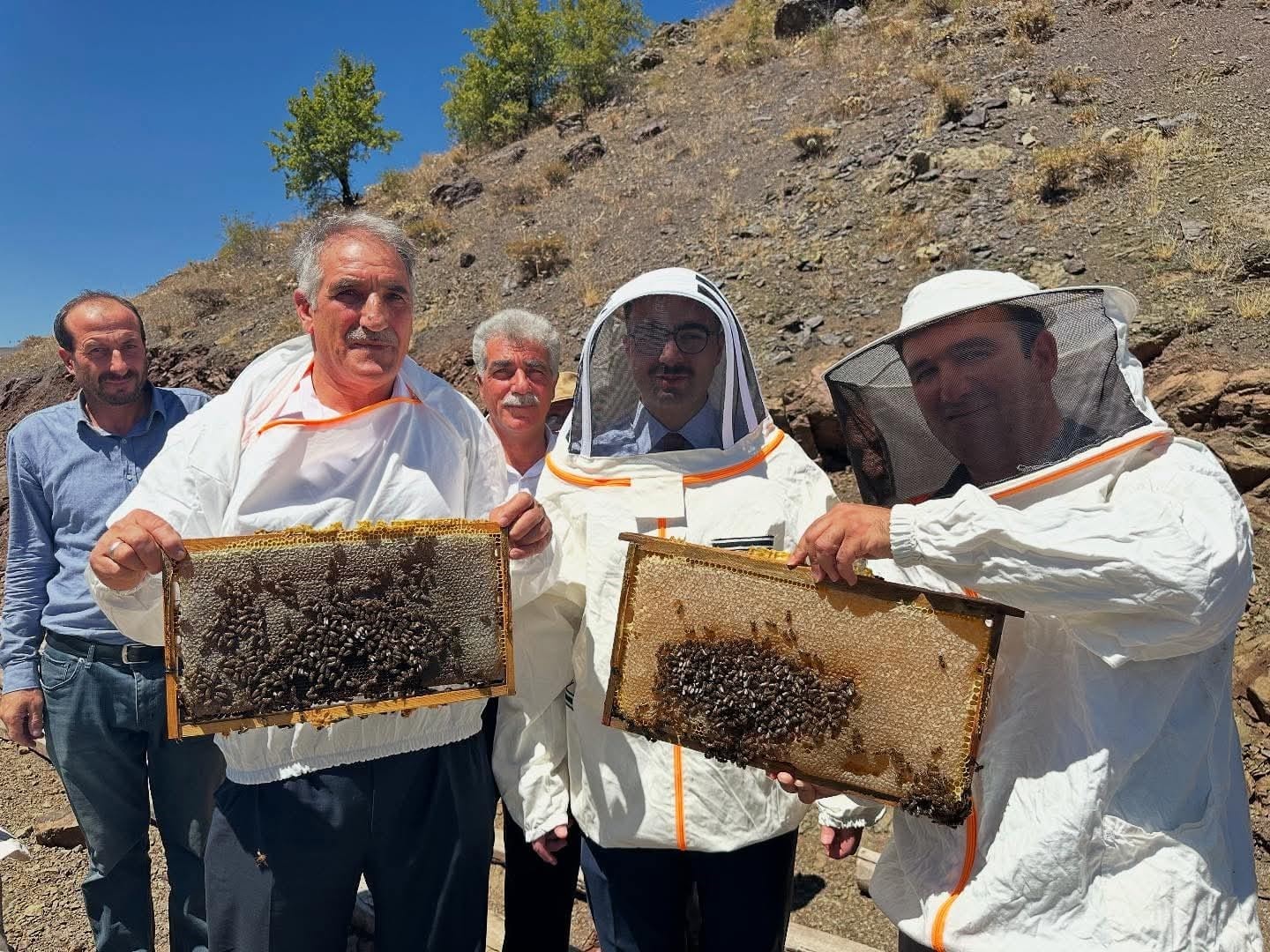 Sincik’te bal hasadı başladı