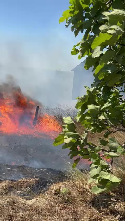 Karmürsel’den sonra Kandıra’da da yangın başladı