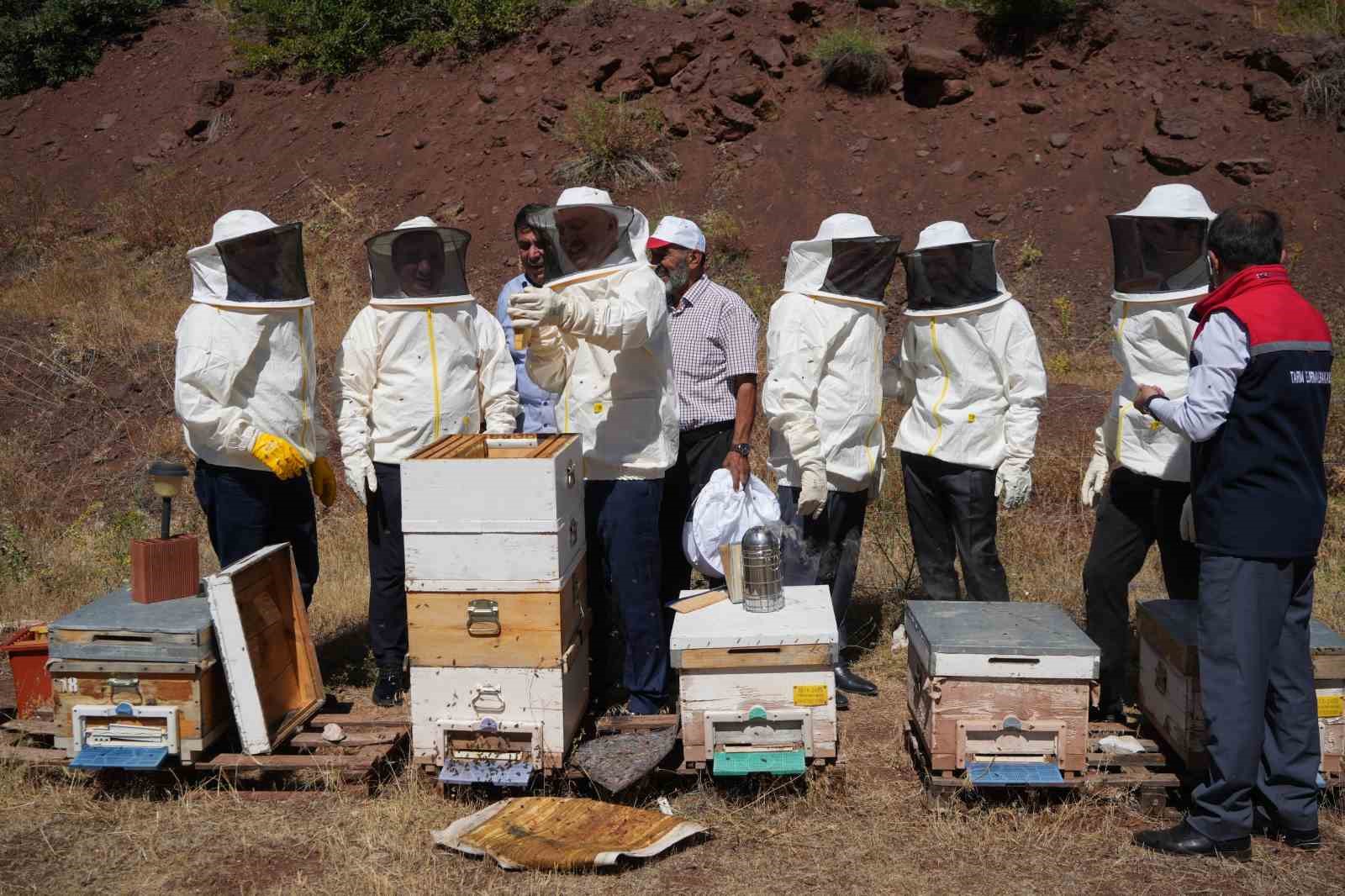 Erzincan&rsquo;da kayıtlı arıcılık işletme sayısı bin 92
