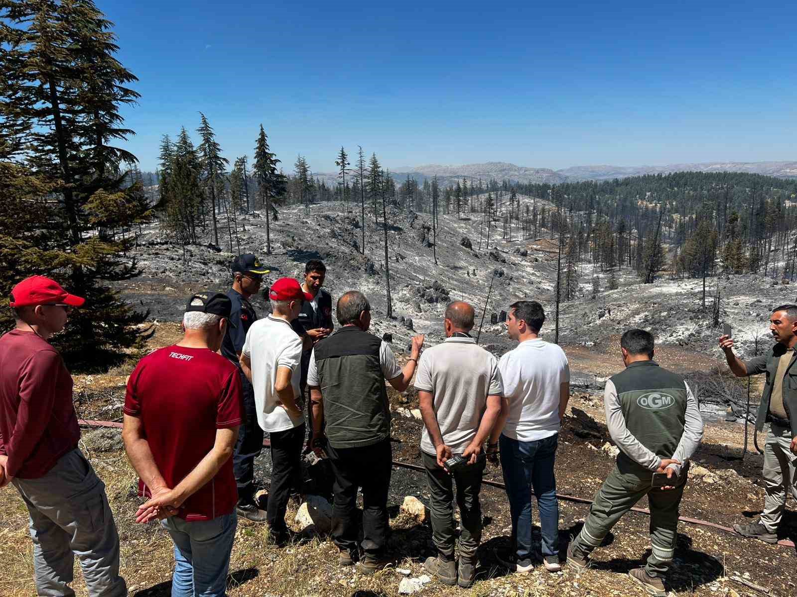 Vali Mehmet Fatih Çiçekli: "Yangın tamamen kontrol altına alındı"
