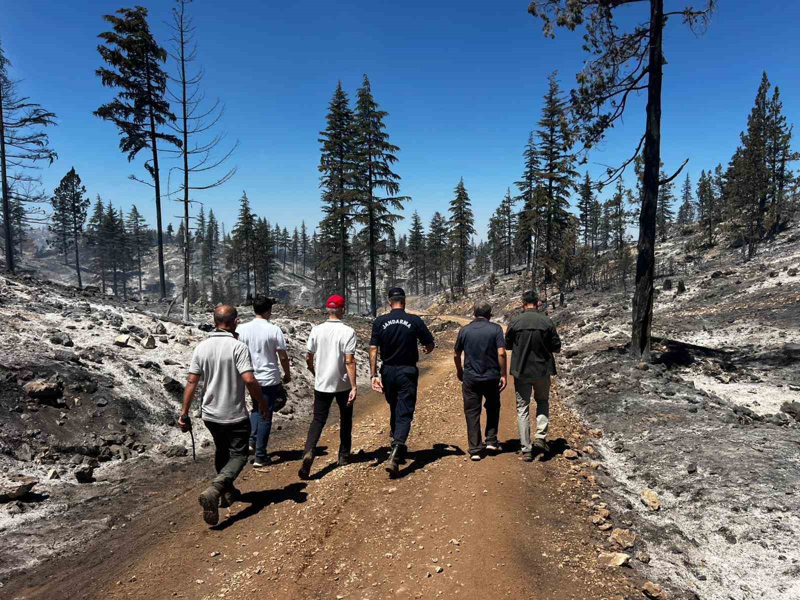 Vali Mehmet Fatih &Ccedil;i&ccedil;ekli: "Yangın tamamen kontrol altına alındı"
