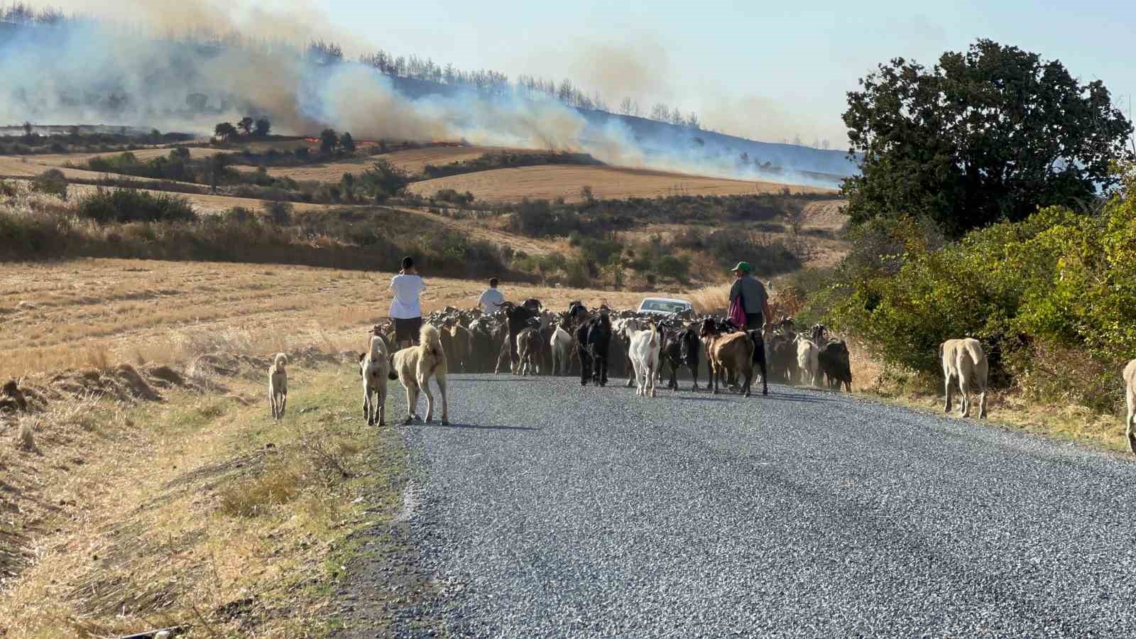 Gelibolu&rsquo;da &ccedil;ıkan orman yangınında Yolağzı k&ouml;y&uuml; tedbiren tahliye ediliyor
