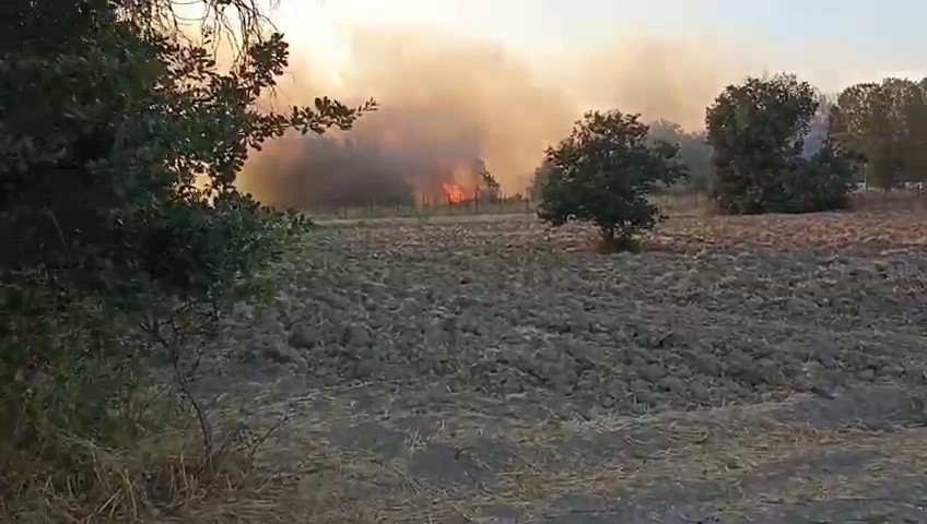 Bursa&rsquo;da korkutan yangın
