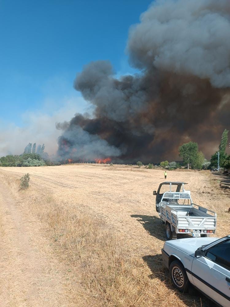 Anız yangını 3 k&ouml;ye sı&ccedil;radı, yerleşim yerlerine ulaşmadan kontrol altına alındı
