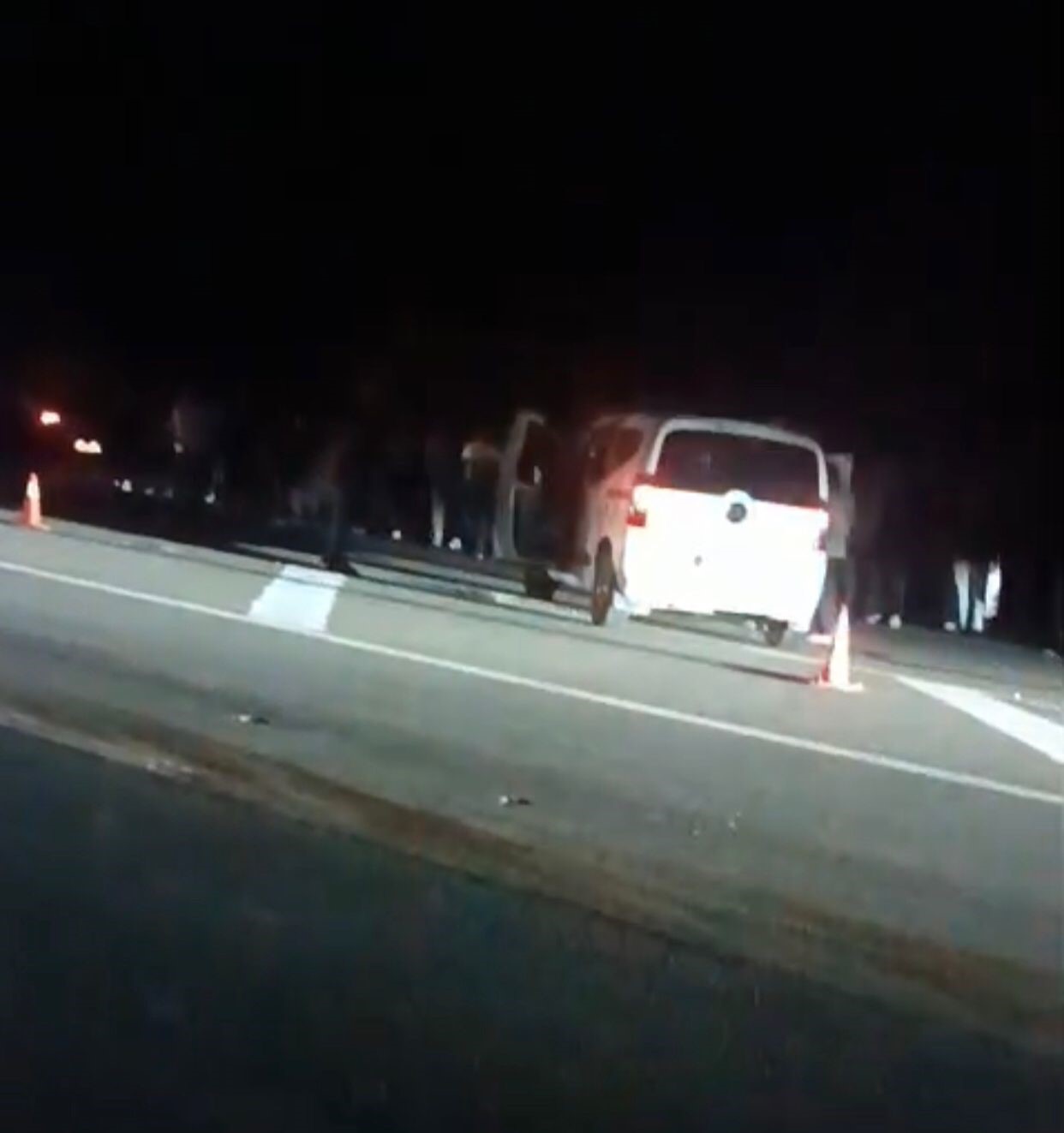 Bingöl’de hafif ticari araç ata çarptı: 1 ölü, 1 yaralı