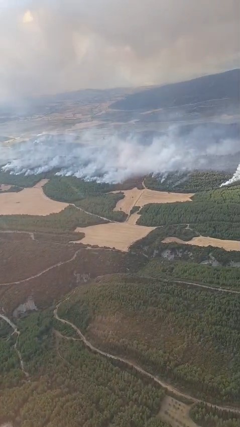 Çanakkale’de devam eden orman yangınına havadan ve karadan yoğun müdahale devam ediyor