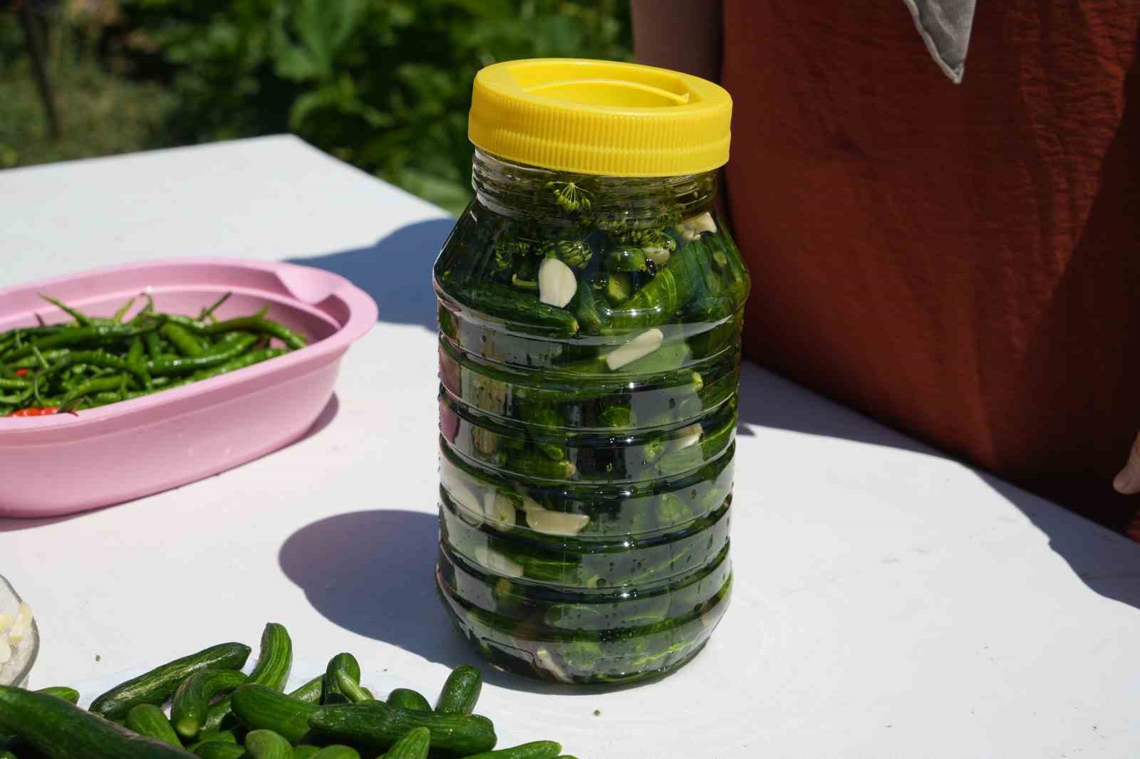 Rekor sıcaklara rağmen &Ccedil;ubuk&rsquo;ta turşuluk salatalık hasadı s&uuml;r&uuml;yor
