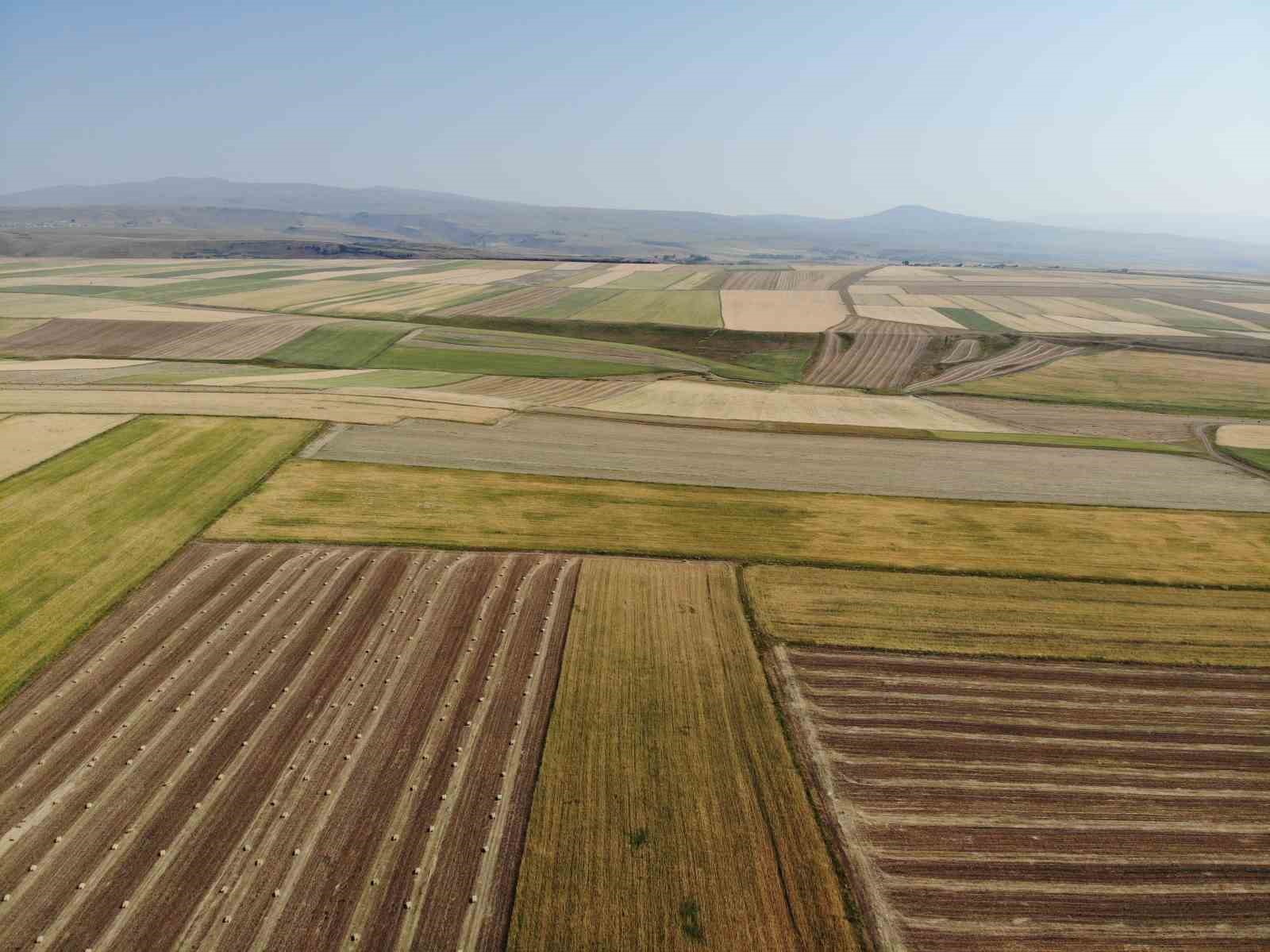 Kars&rsquo;ta tarım arazileri halı deseni gibi rengarenk
