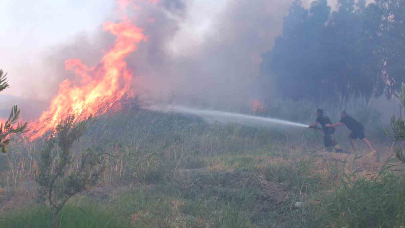 Balıkesir&rsquo;de sazlık yangını 995 haneli siteyi duman altından bıraktı
