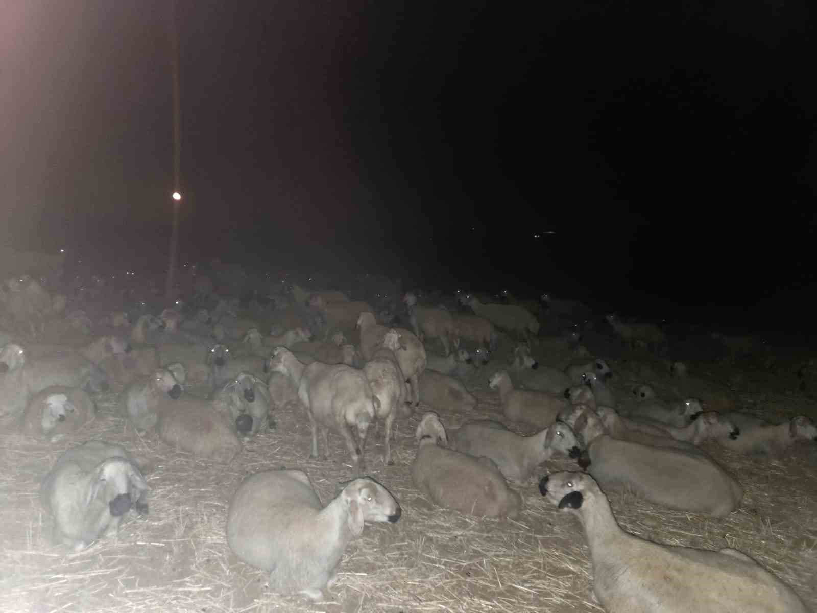 &Ccedil;obanlardan kavurucu sıcaklara karşı &ccedil;&ouml;z&uuml;m yolu
