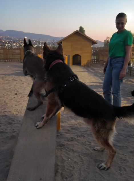 Proteo K&ouml;pek Eğitim Parkuru&rsquo;na tam not
