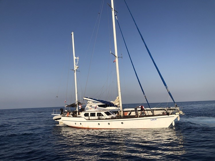 İzmir açıklarında 115 düzensiz göçmen yakalandı