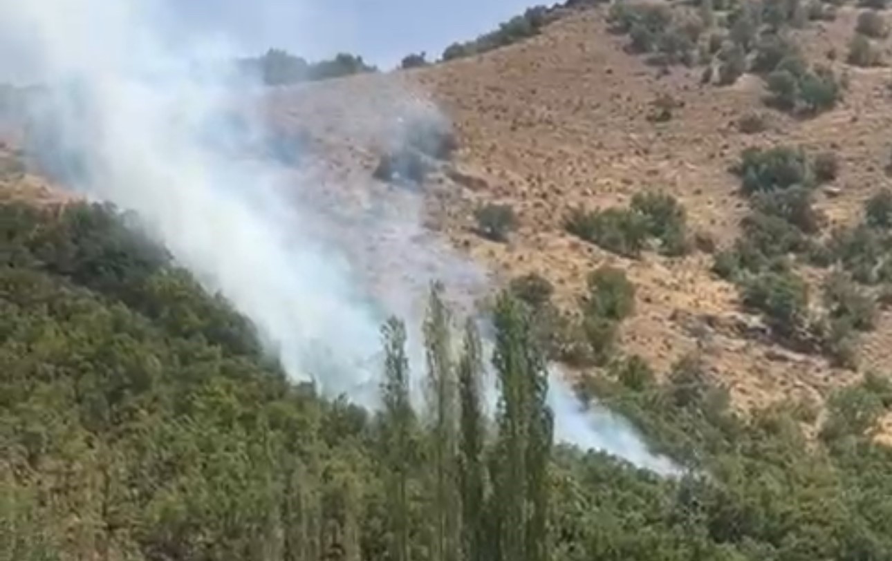 Şemdinli&rsquo;de orman yangını
