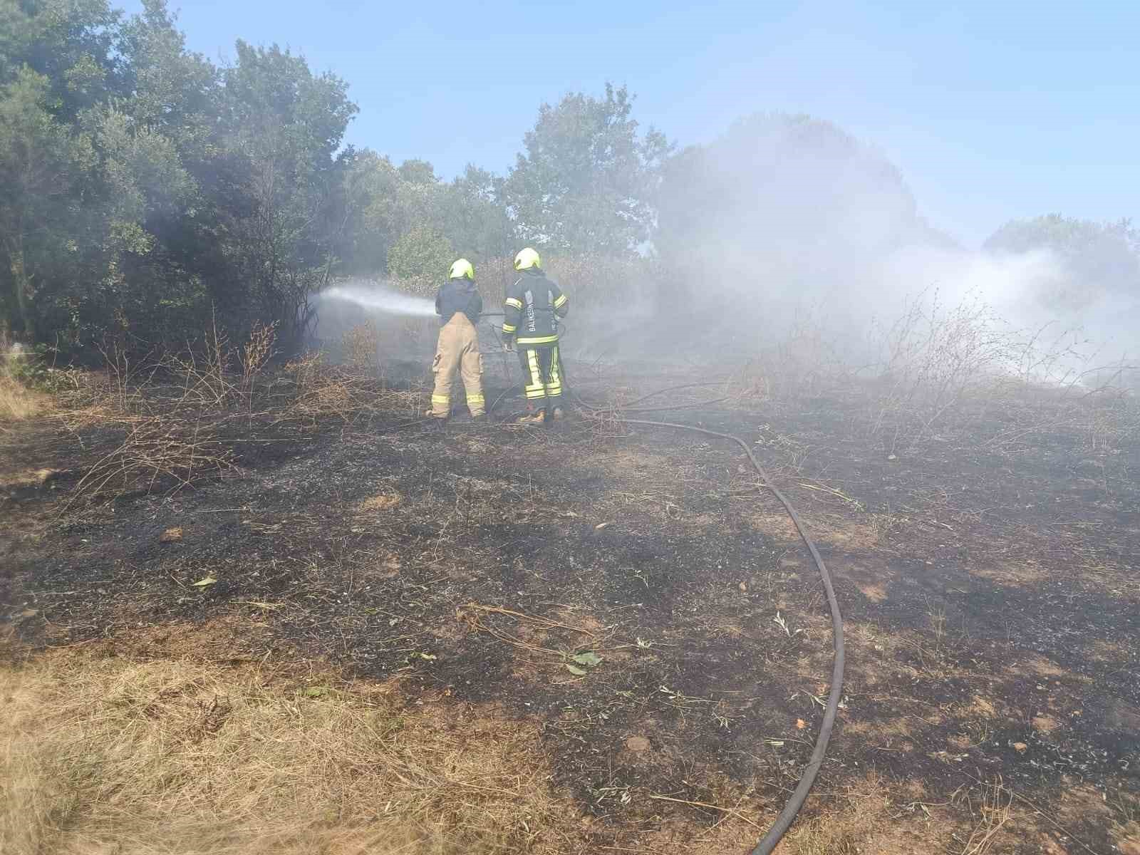 Erdek&rsquo;te zeytinlik ve otluk alanda &ccedil;ıkan yangın s&ouml;nd&uuml;r&uuml;ld&uuml;
