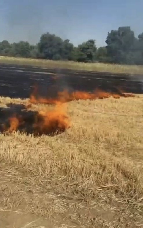 Beyşehir’de anız yangınları korkuttu