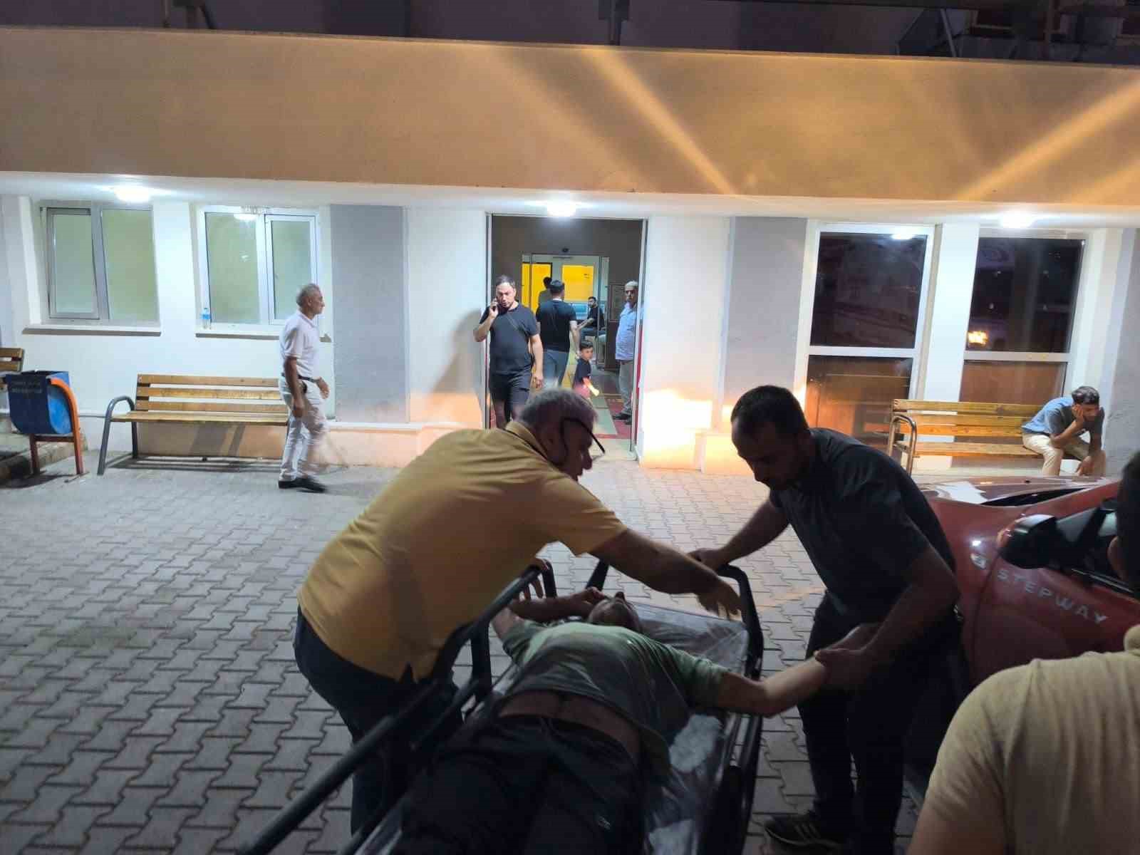 Siirt&rsquo;te ağa&ccedil;tan d&uuml;şen adam yaralandı
