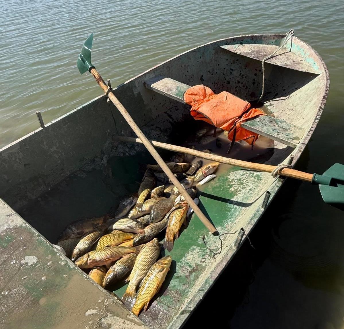 Van’da kaçak balık avlayan 2 kişiye 25 bin lira ceza