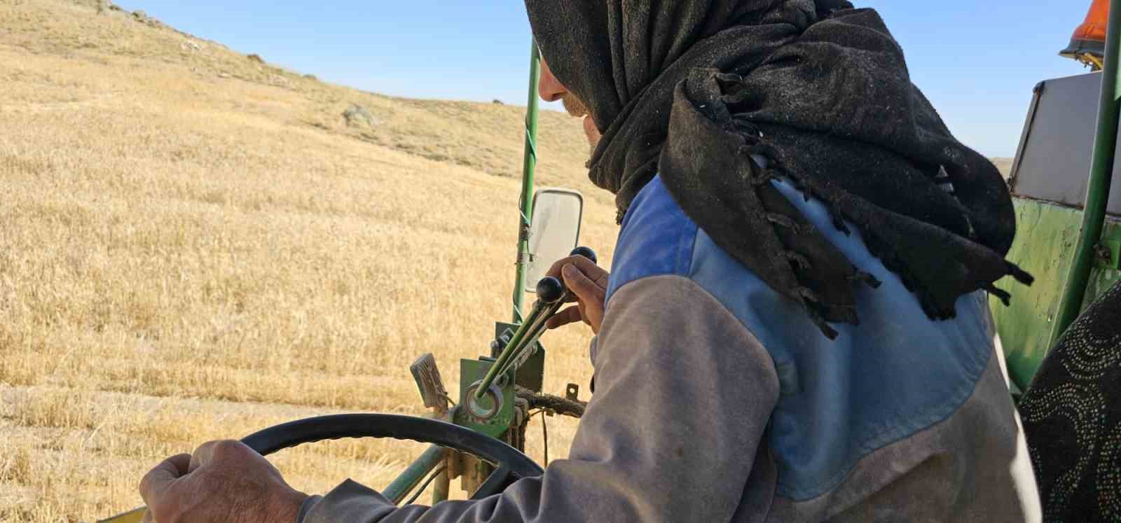 Adilcevaz Uzunsırt Yaylası’nda buğday hasadı yapıldı