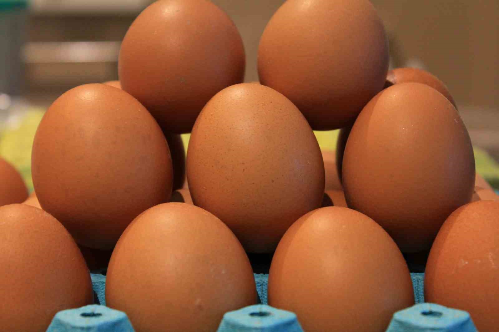 Okulların açılması yumurtayı "Mayıs çukuru"ndan kurtaracak
