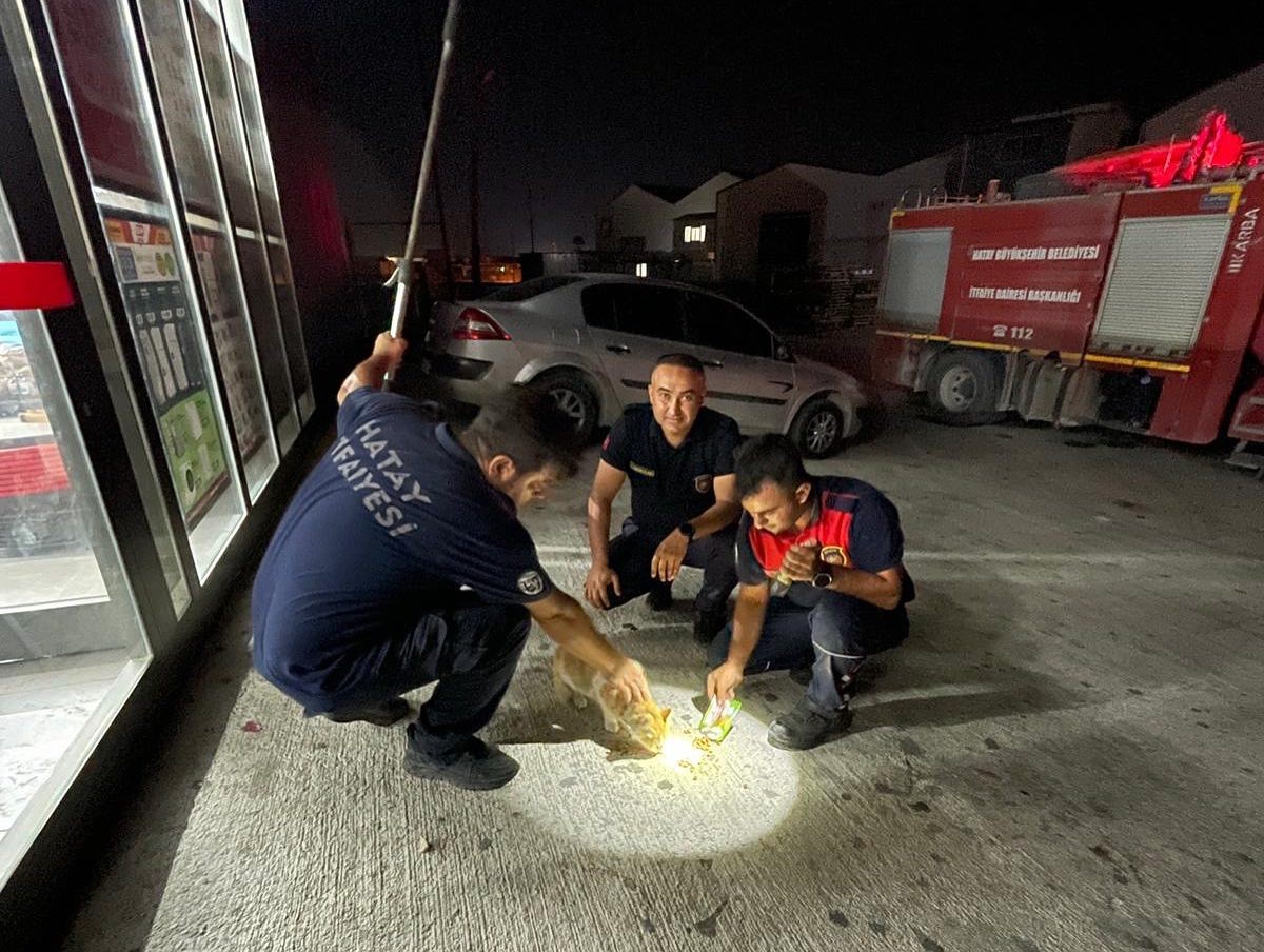 Antakya&rsquo;da market duvarı arasında mahsur kalan kediyi itfaiye kurtardı

