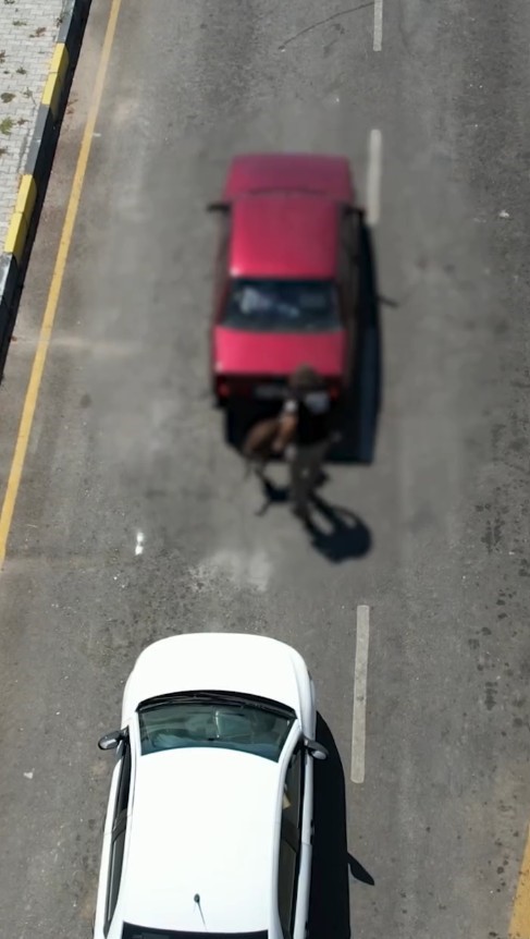 Isparta&rsquo;da son 7 g&uuml;nde d&uuml;zenlenen 19 operasyonda zehir zinciri kırıldı
