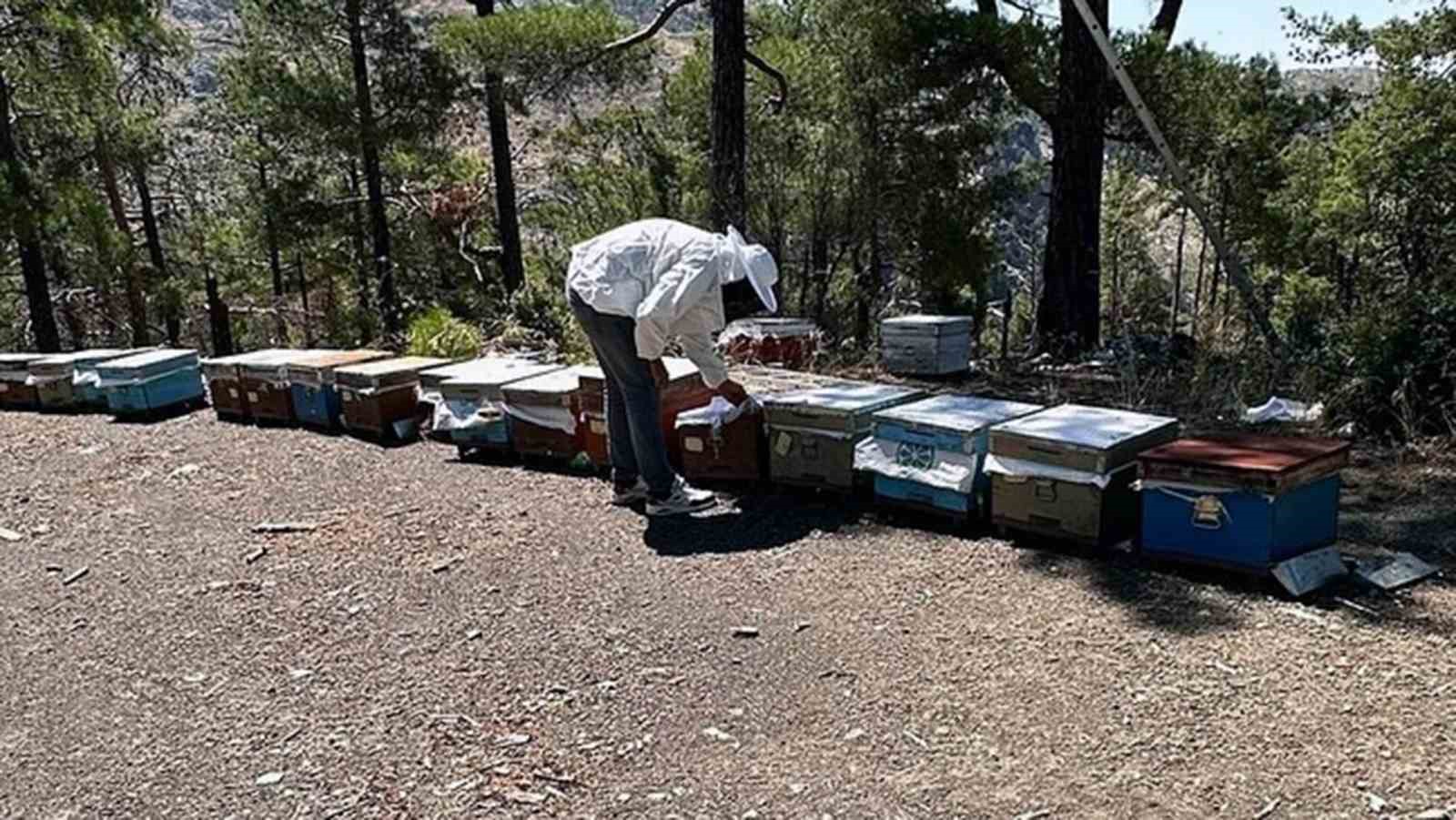 Muğla&rsquo;da arılı kovan destekleme tespit &ccedil;alışması yapıldı
