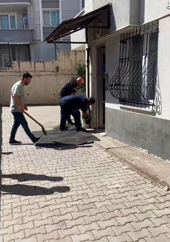 Karab&uuml;k&rsquo;te doğalgaz kutusuna giren yılan yakalandı
