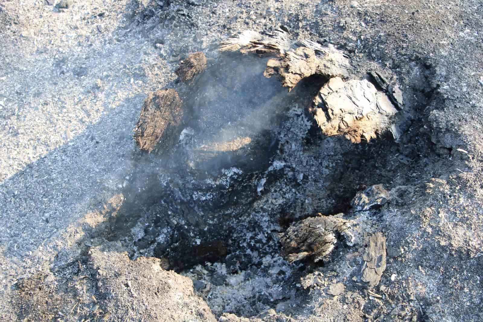 Yangından ka&ccedil;an karaca g&ouml;r&uuml;nt&uuml;leri kameralara yansıdı
