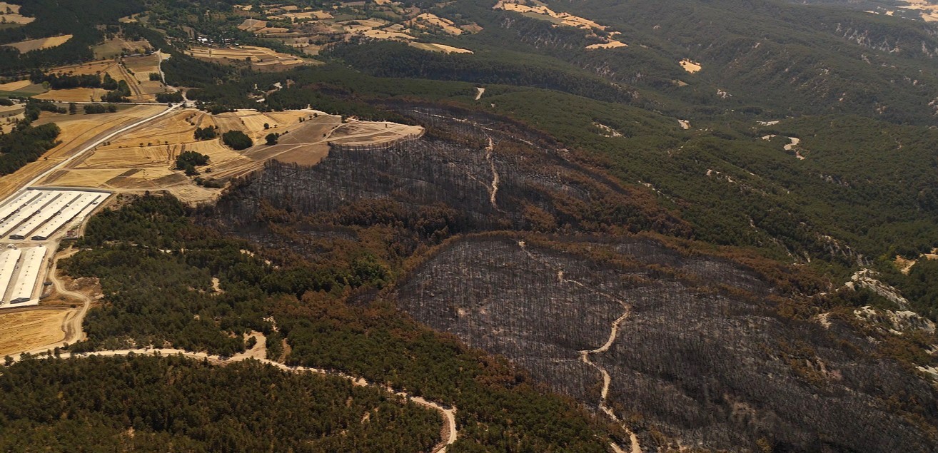 Mudurnu&rsquo;daki orman yangınında 66 hektar alan k&uuml;l oldu
