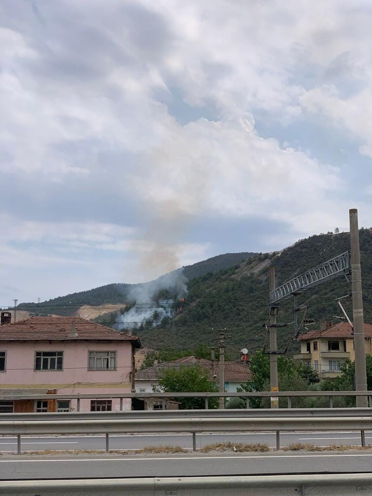 Bilecik’te orman yangını