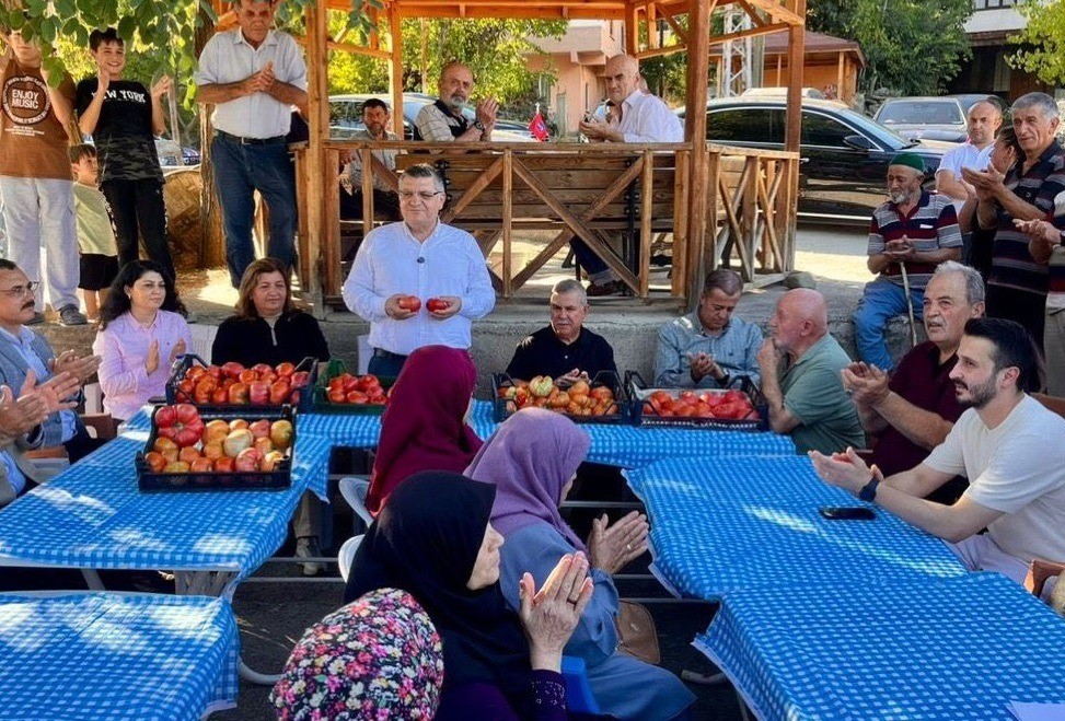Sinop&rsquo;ta coğrafi işaretli Gazidere domatesinde hasat başladı
