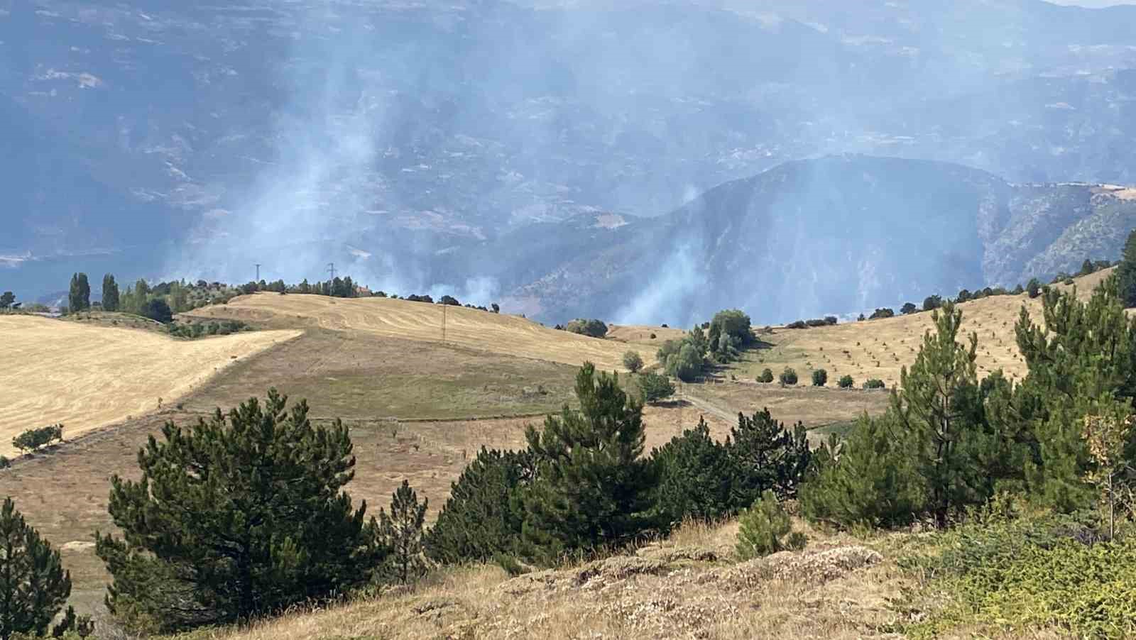 Çorum’da orman yangını