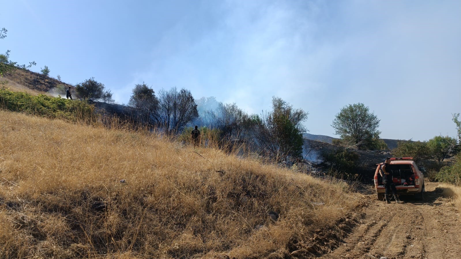 Malatya’daki orman yangını kontrol altına alındı