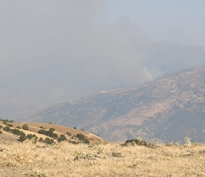Malatya&rsquo;daki orman yangını kontrol altına alındı
