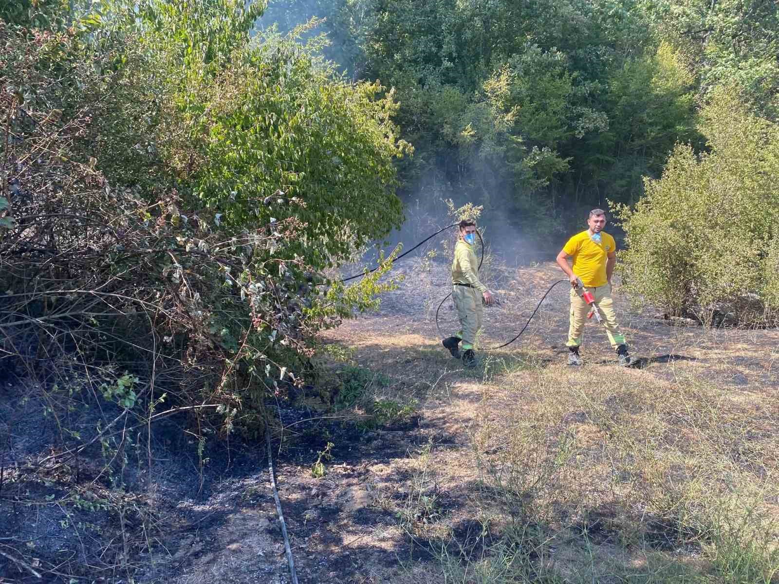 Kırklareli’de orman yangını