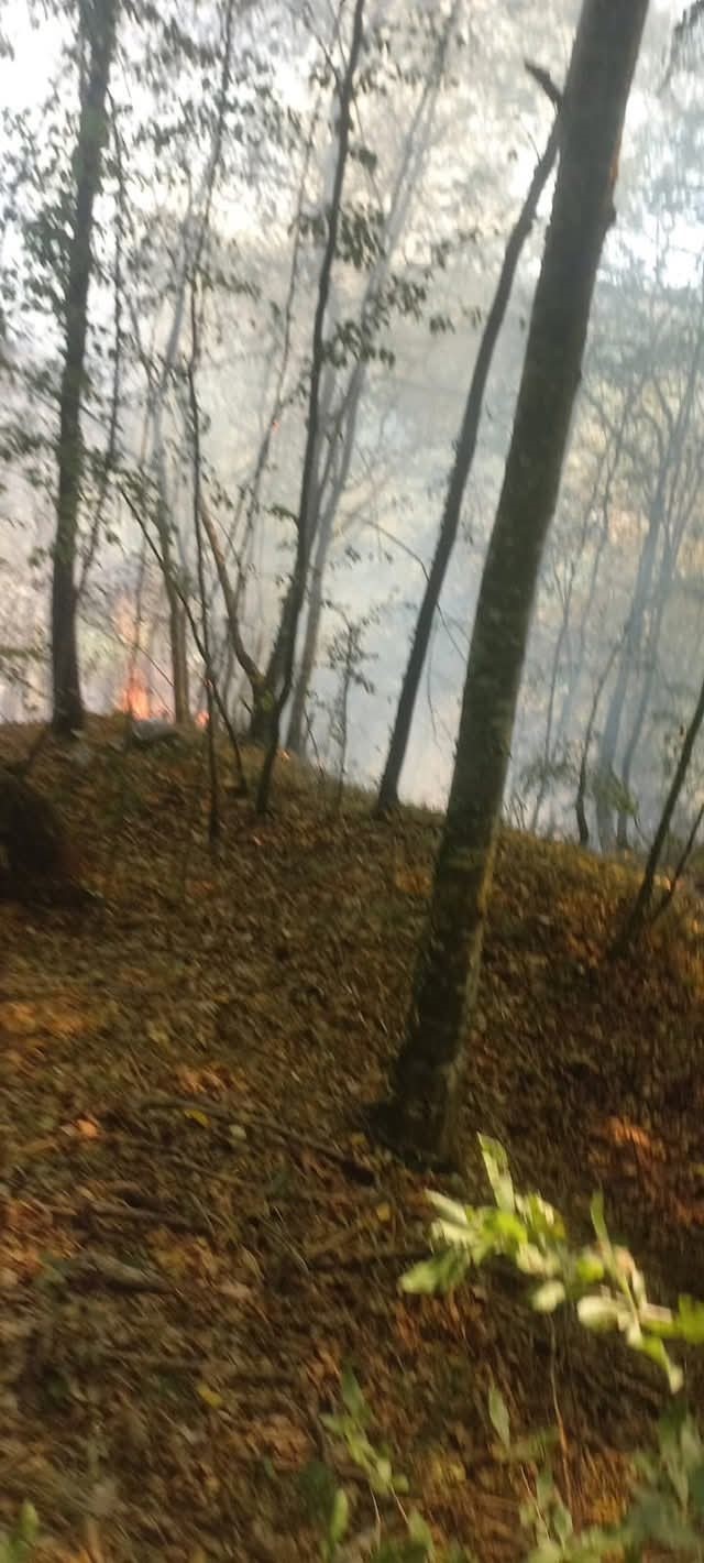 Kırklareli’de orman yangını