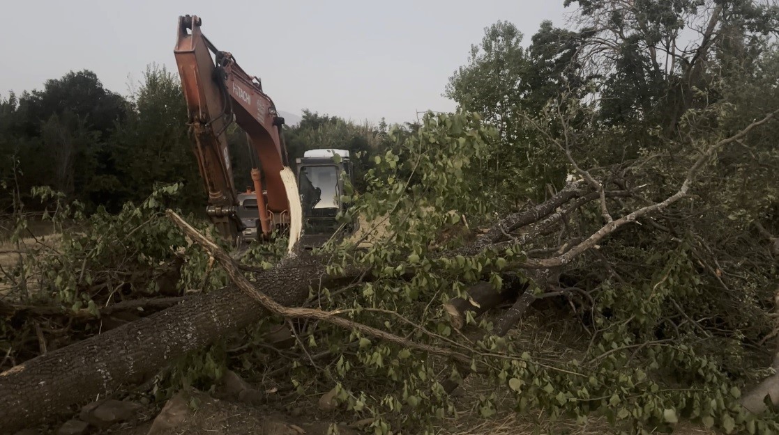 Kanal &ccedil;alışması sırasında devrilen ağacın altında kalan kişi &ouml;ld&uuml;
