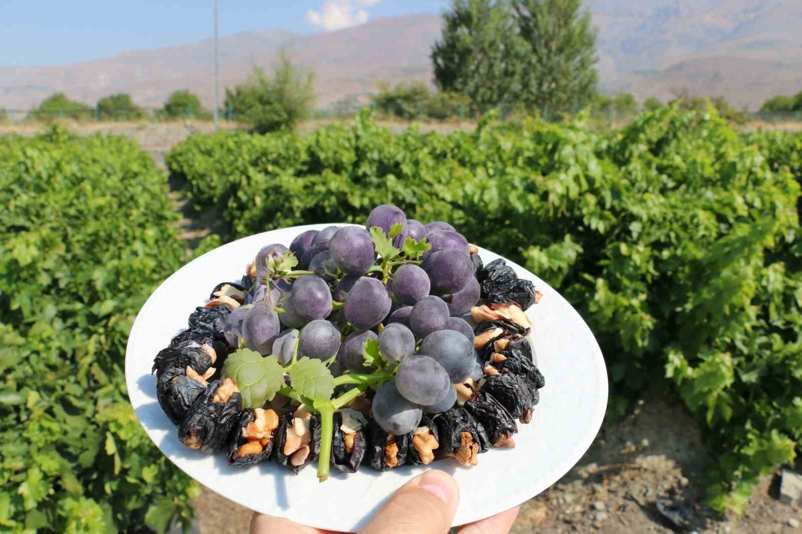 Tescilli Cimin üzümünde hasat zamanı
