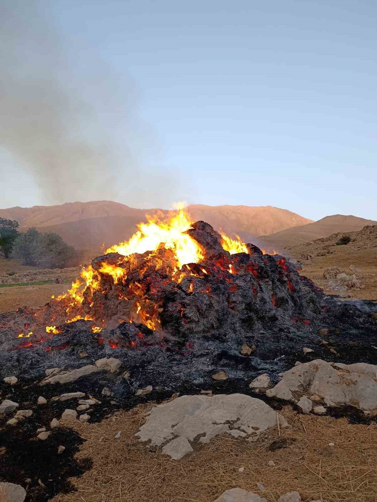 Gevaş&rsquo;ta ot yangını
