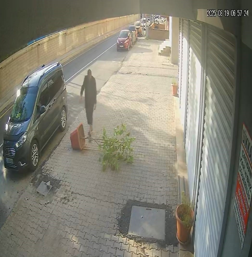 Tatvan&rsquo;da ke&ccedil;inin inadı limon ağacını devirdi
