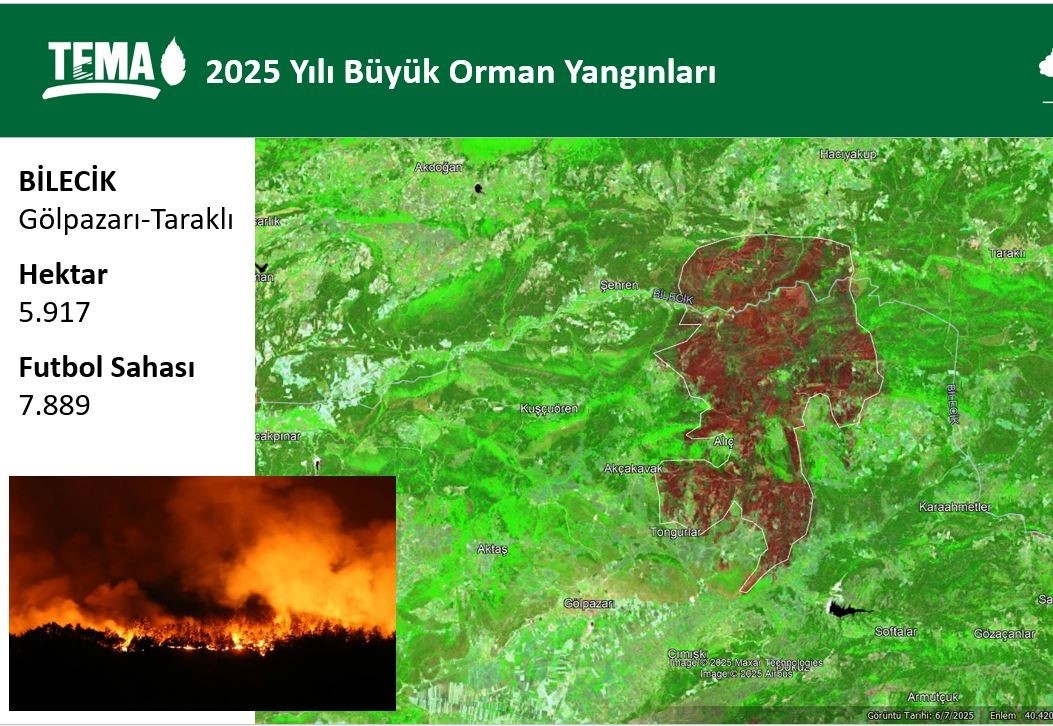 Bilecik&rsquo;te yaşanan orman yangınlarında 17 bin hektar alan k&uuml;l oldu
