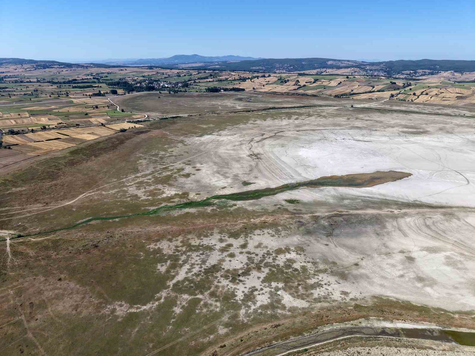 Kuraklığın en acı g&ouml;r&uuml;nt&uuml;s&uuml;: Ladik G&ouml;l&uuml;&rsquo;nde inekler otlamaya başladı
