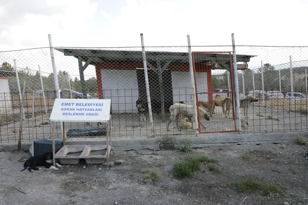 K&uuml;tahya Valisi Işın, "Sahipsiz hayvanlara y&ouml;nelik hizmetler toplumsal duyarlılığın bir g&ouml;stergesidir"
