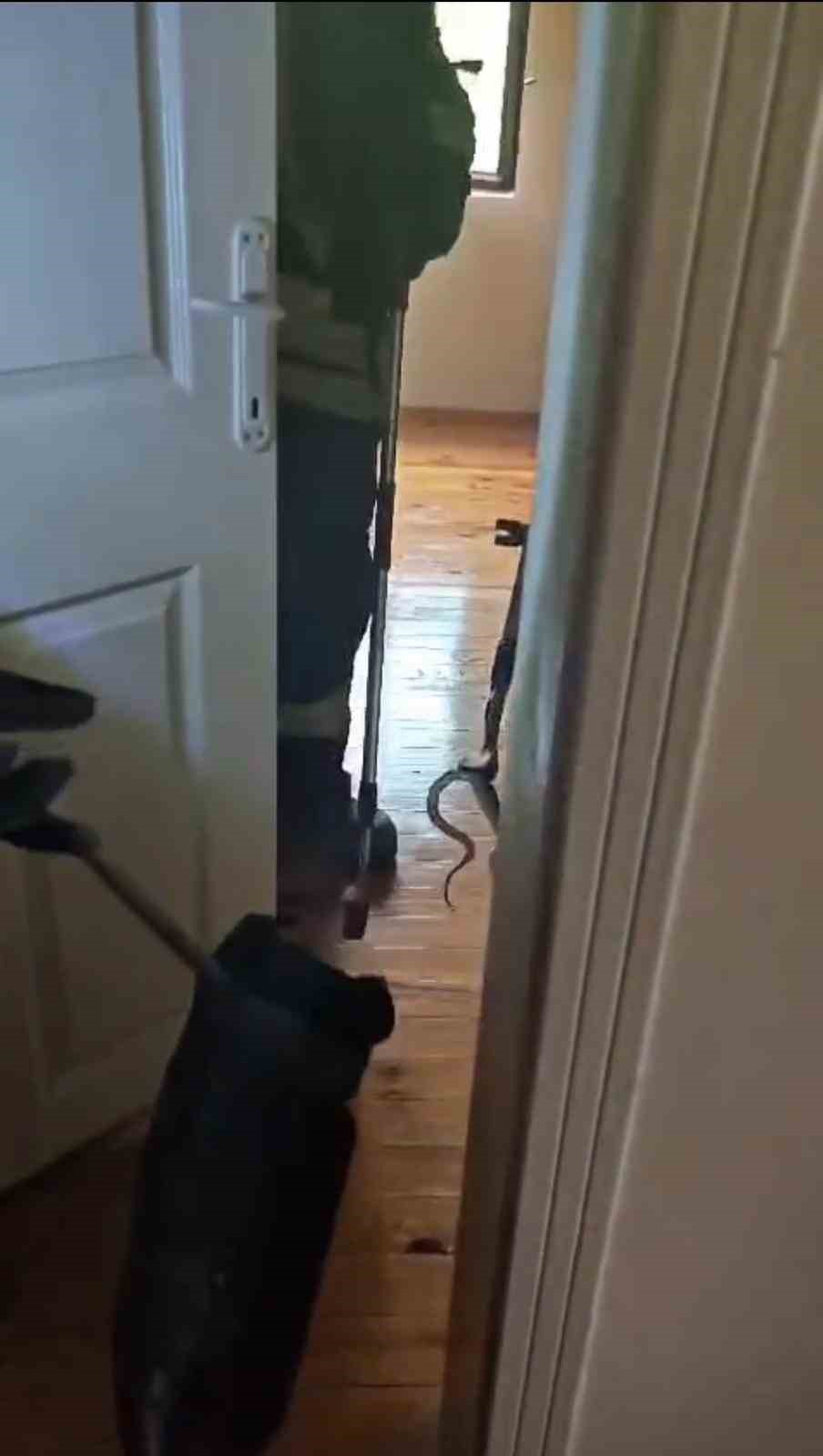 Karabük’te eve giren yılan itfaiye ekiplerince yakalanarak doğaya salındı