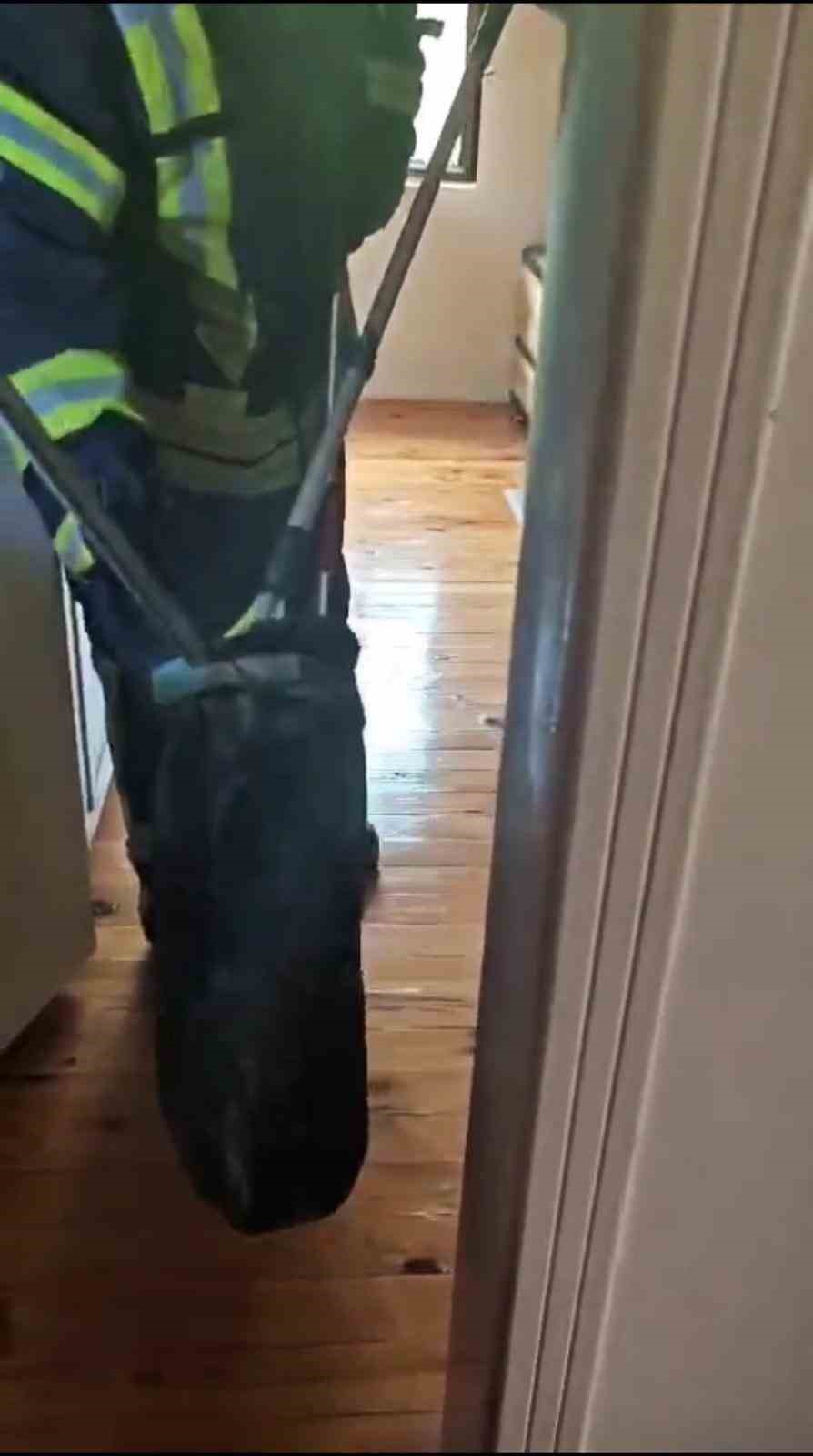 Karabük’te eve giren yılan itfaiye ekiplerince yakalanarak doğaya salındı
