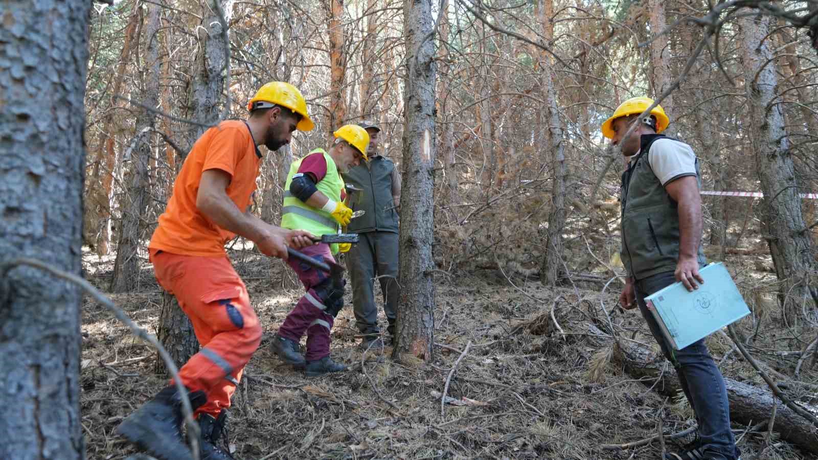 Palandöken’de yangına karşı seferberlik