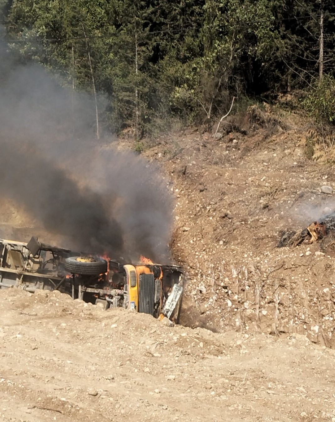 Devrilen vin&ccedil;te yangın &ccedil;ıktı, ilk m&uuml;dahaleyi orman ekipleri yaptı
