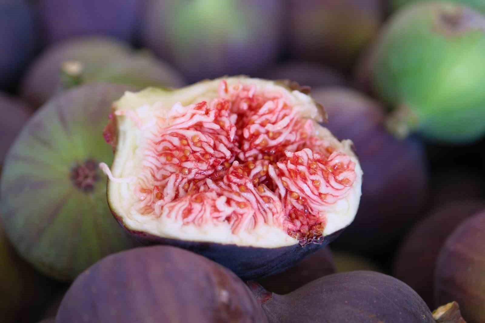 Krali&ccedil;e incirinde hasat ve ihracat başladı
